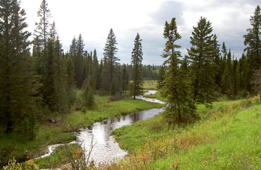 Riding Mountain National Park