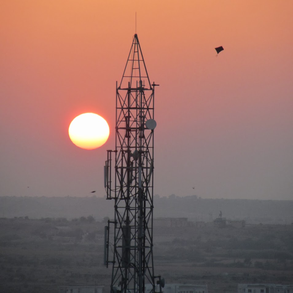 Kite at sunset - Jaisalmer Fort