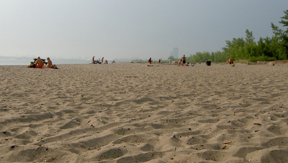 More Toronto news